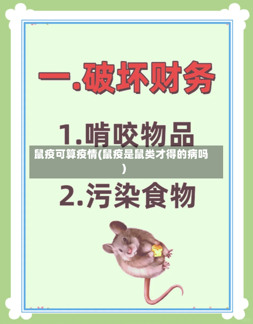 鼠疫可算疫情(鼠疫是鼠类才得的病吗)