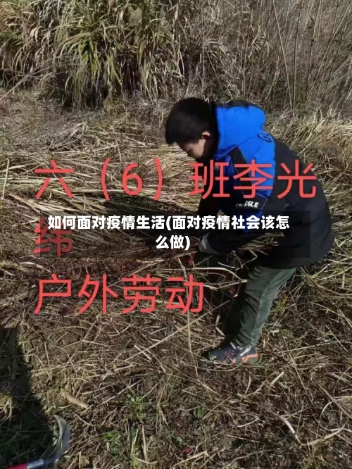 如何面对疫情生活(面对疫情社会该怎么做)
