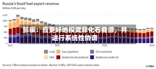 邹骥：应更好地投资非化石能源，并进行系统性协调