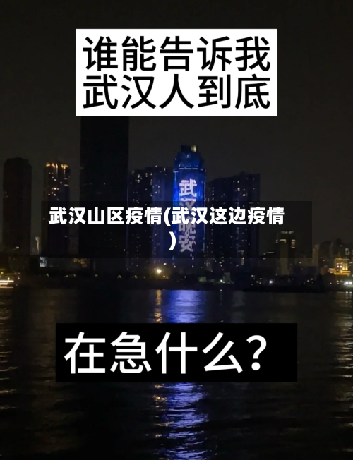 武汉山区疫情(武汉这边疫情)