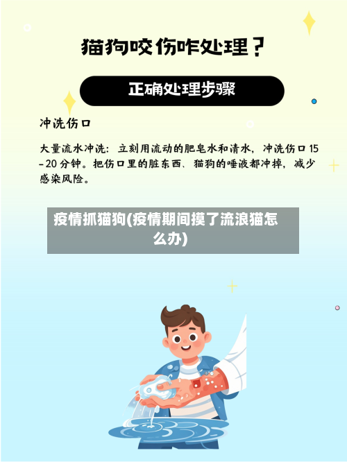 疫情抓猫狗(疫情期间摸了流浪猫怎么办)