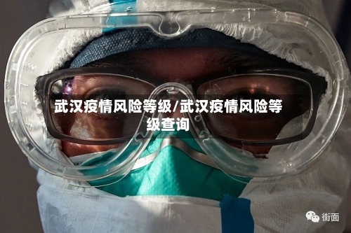 武汉疫情风险等级/武汉疫情风险等级查询