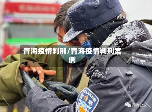 青海疫情判刑/青海疫情判刑案例