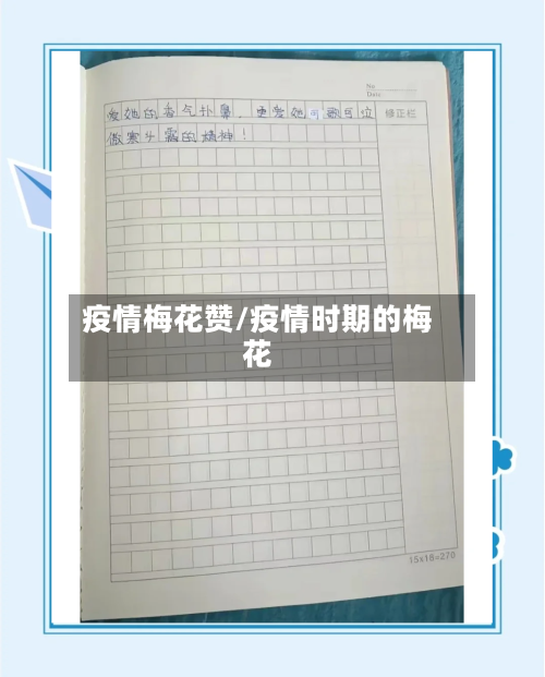 疫情梅花赞/疫情时期的梅花