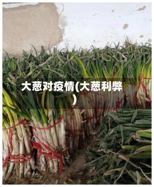 大葱对疫情(大葱利弊)