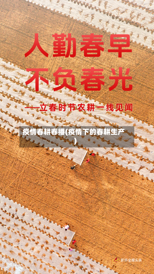 疫情春耕春播(疫情下的春耕生产)