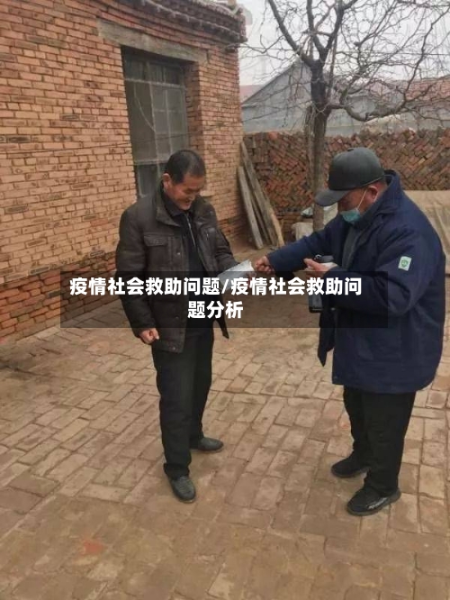 疫情社会救助问题/疫情社会救助问题分析