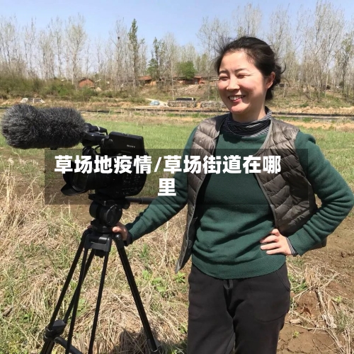 草场地疫情/草场街道在哪里