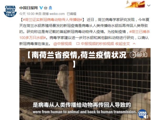 【南荷兰省疫情,荷兰疫情状况】