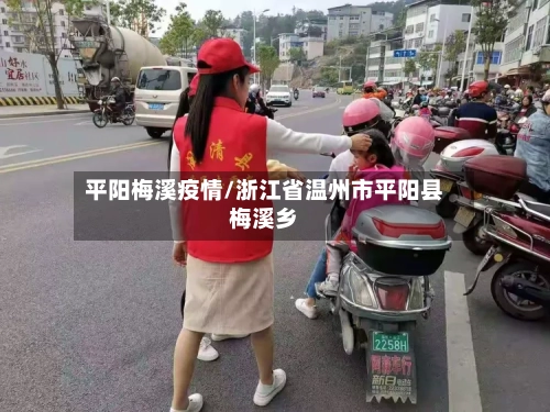 平阳梅溪疫情/浙江省温州市平阳县梅溪乡