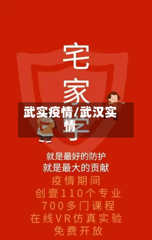 武实疫情/武汉实情