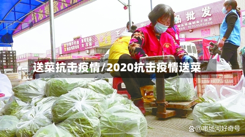 送菜抗击疫情/2020抗击疫情送菜
