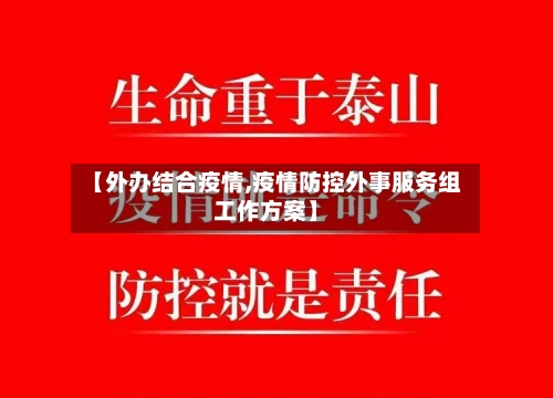 【外办结合疫情,疫情防控外事服务组工作方案】