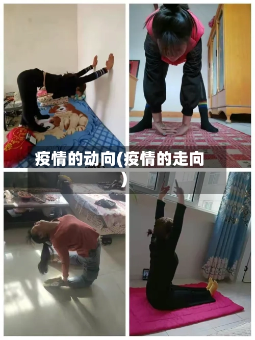疫情的动向(疫情的走向)