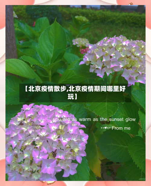 【北京疫情散步,北京疫情期间哪里好玩】