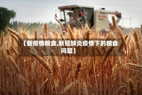【新疫情粮食,新冠肺炎疫情下的粮食问题】