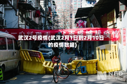武汉2号疫情(武汉2月1日到2月10日的疫情数据)