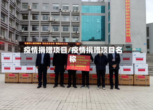 疫情捐赠项目/疫情捐赠项目名称