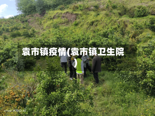 袁市镇疫情(袁市镇卫生院)