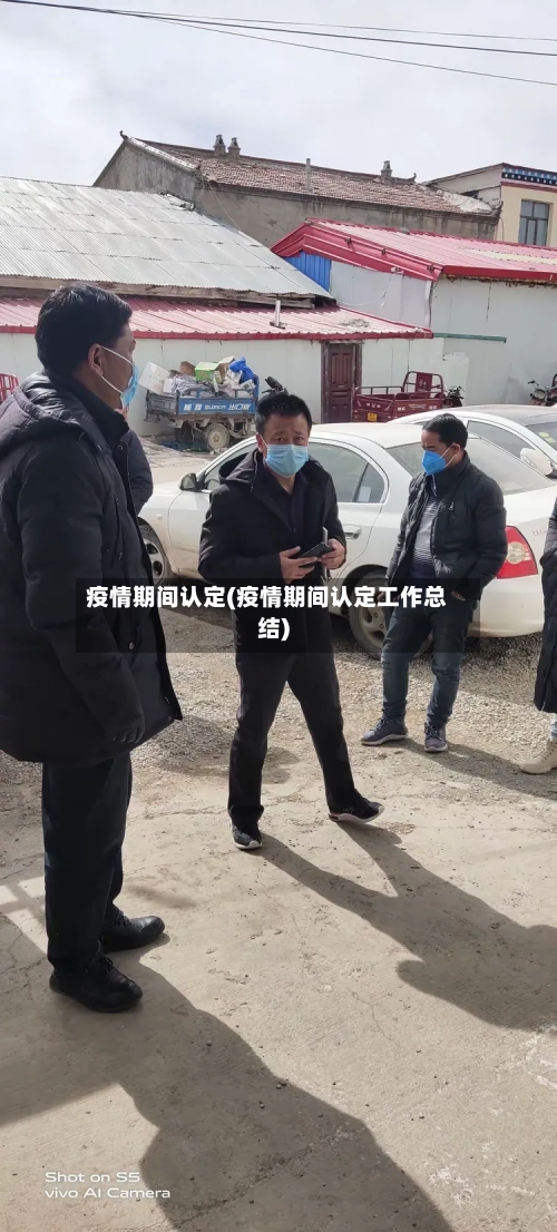 疫情期间认定(疫情期间认定工作总结)