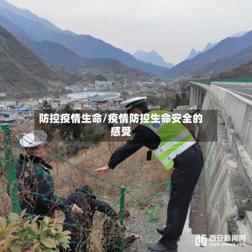 防控疫情生命/疫情防控生命安全的感受