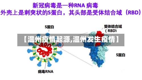 【温州疫情起源,温州发生疫情】