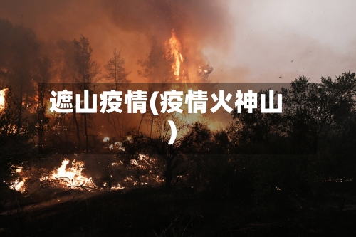 遮山疫情(疫情火神山)