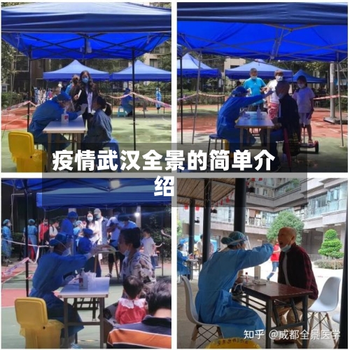 疫情武汉全景的简单介绍