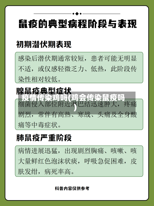 疫情传染鸡吗(鸡会传染鼠疫吗)