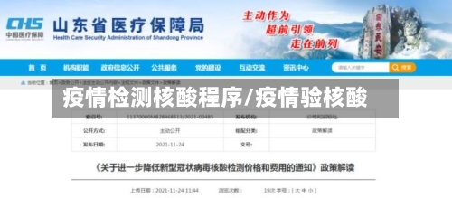 疫情检测核酸程序/疫情验核酸