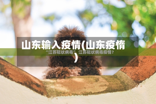 山东输入疫情(山东疫惰)