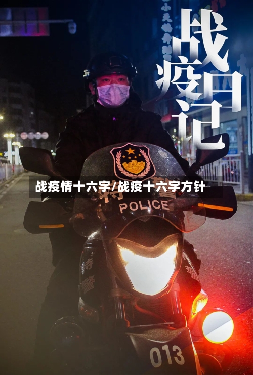 战疫情十六字/战疫十六字方针