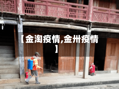 【金淘疫情,金卅疫情】