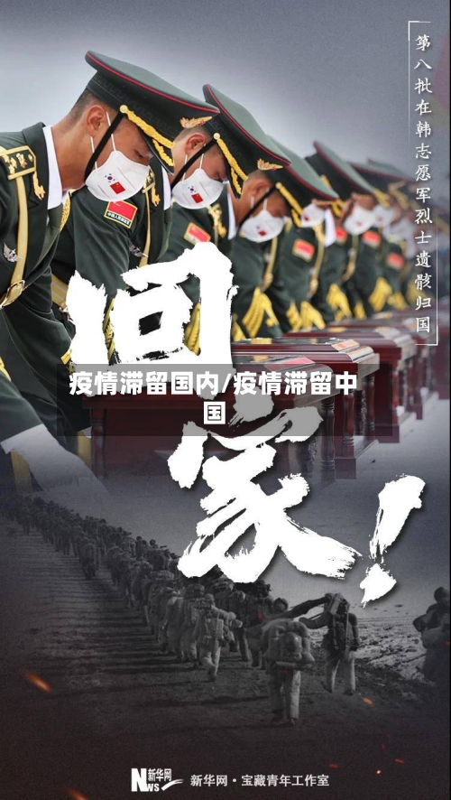 疫情滞留国内/疫情滞留中国