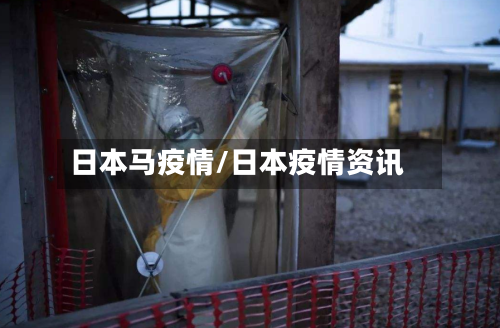日本马疫情/日本疫情资讯