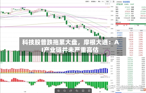 科技股普跌拖累大盘，摩根大通：AI产业链并未严重高估