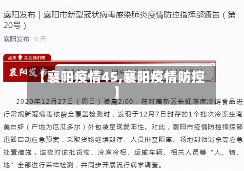 【襄阳疫情45,襄阳疫情防控】