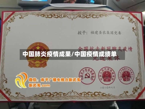中国肺炎疫情成果/中国疫情成绩单