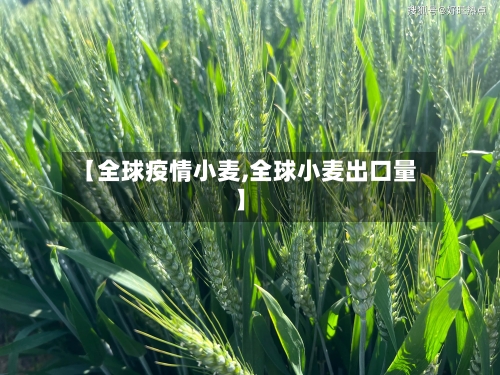 【全球疫情小麦,全球小麦出口量】