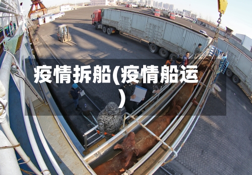 疫情拆船(疫情船运)