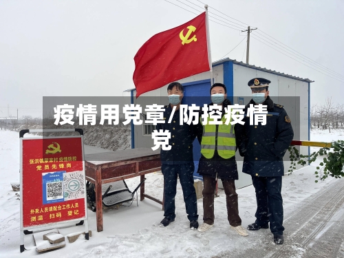 疫情用党章/防控疫情党