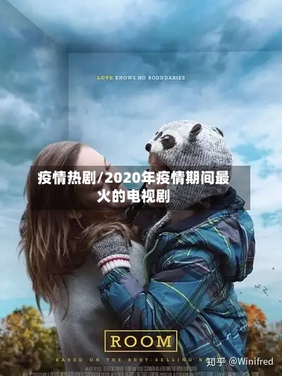 疫情热剧/2020年疫情期间最火的电视剧