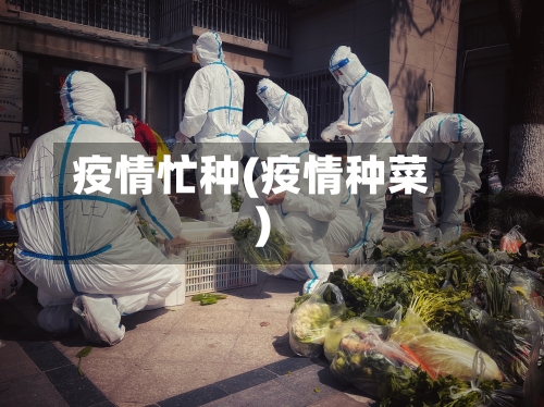 疫情忙种(疫情种菜)