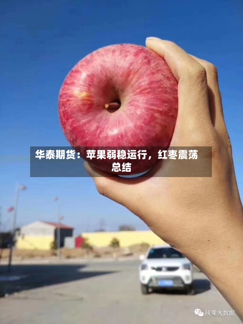 华泰期货：苹果弱稳运行，红枣震荡总结