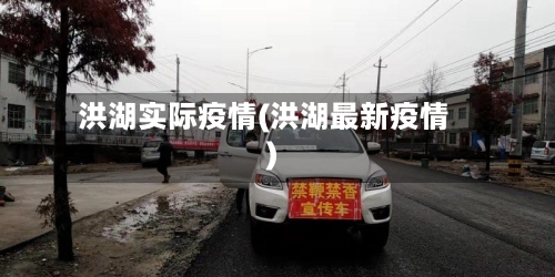 洪湖实际疫情(洪湖最新疫情)