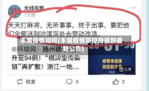 丰城疫情如何(丰城疫情防控指挥部最新公告)