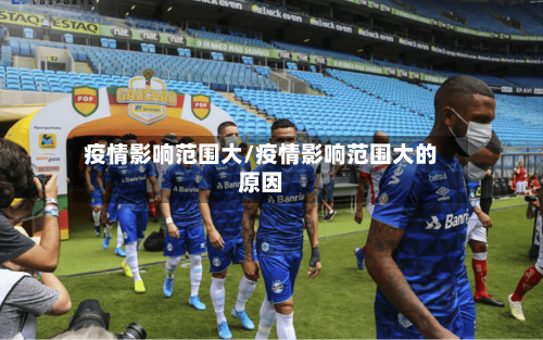 疫情影响范围大/疫情影响范围大的原因