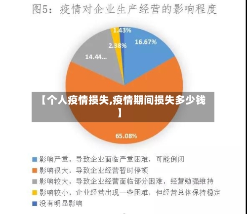 【个人疫情损失,疫情期间损失多少钱】
