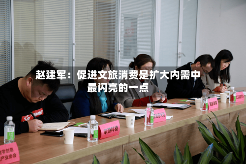 赵建军：促进文旅消费是扩大内需中最闪亮的一点