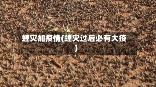蝗灾加疫情(蝗灾过后必有大疫)